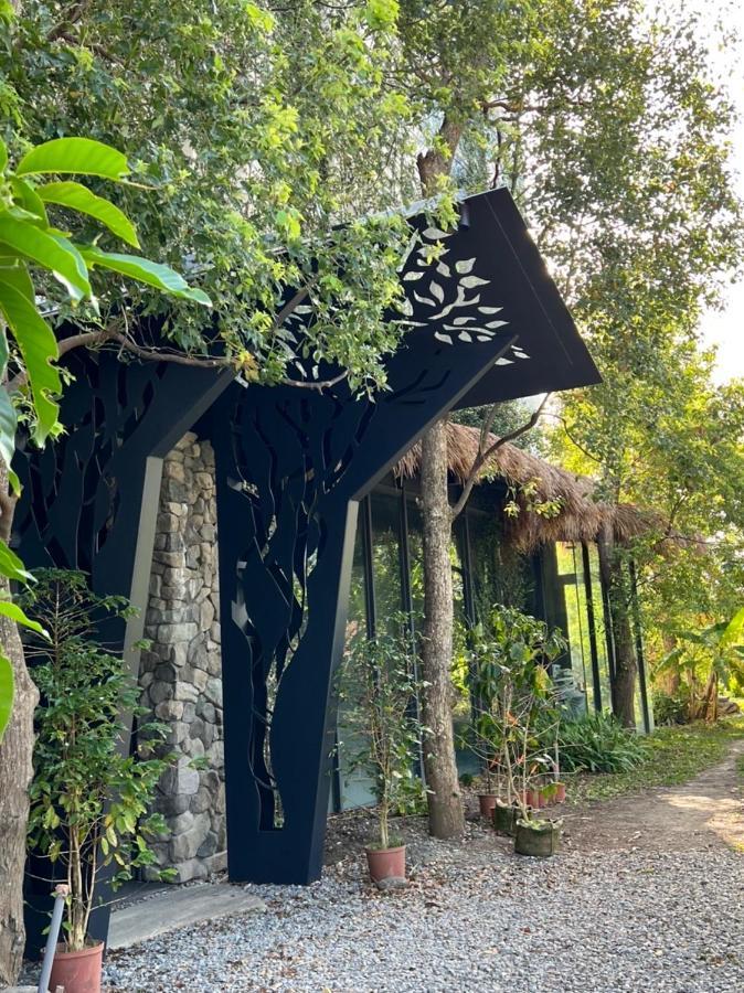 Appartement La Tree 普椿農場木子莊園 à Donghe Extérieur photo