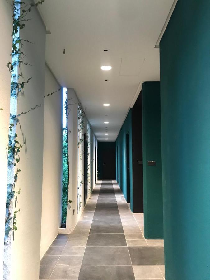 Appartement La Tree 普椿農場木子莊園 à Donghe Extérieur photo