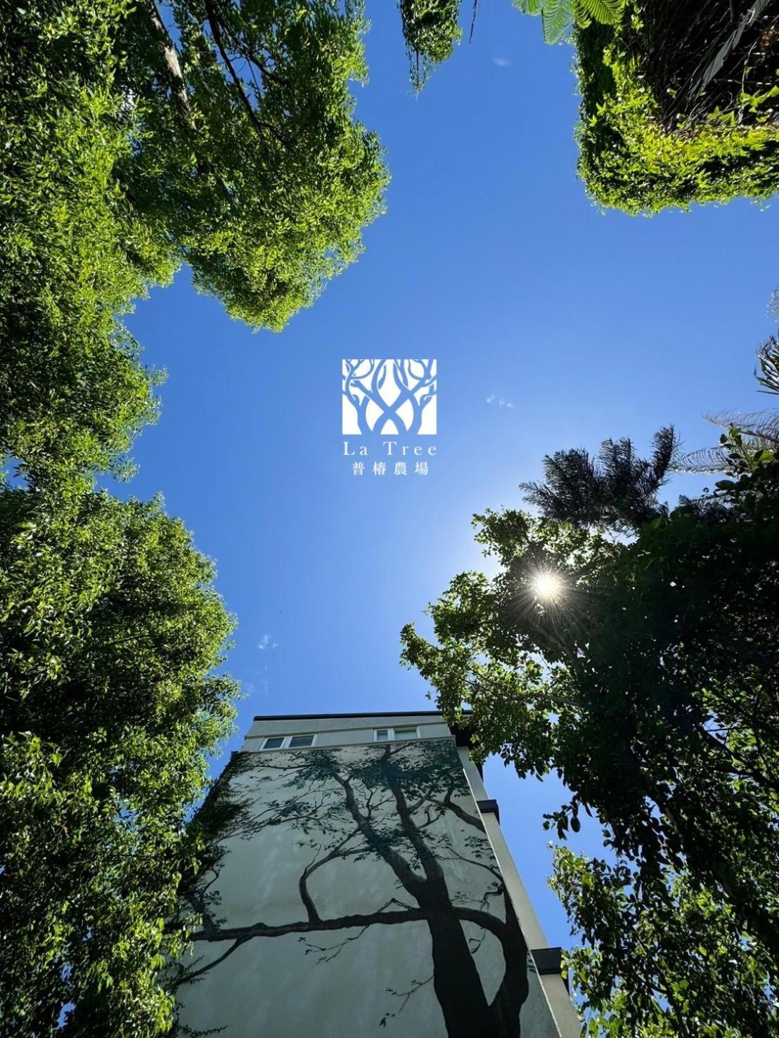Appartement La Tree 普椿農場木子莊園 à Donghe Extérieur photo